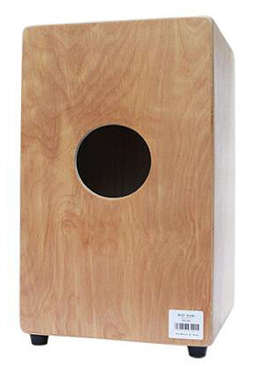 Scott Cajon BHC-P01 Birke