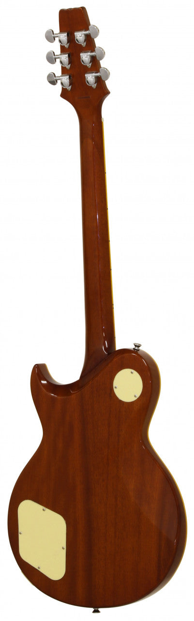 Aria E-Gitarre PE 350 PG