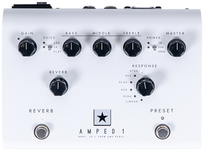 Blackstar Dept. 10 Amped 1 Gitarrenverstärker, 100W